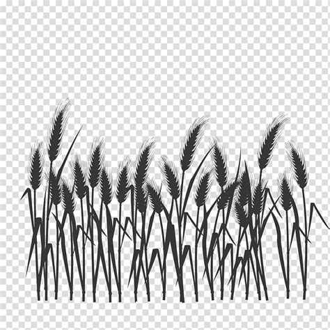 Black Grass Illustration Silhouette Black And White Silhouette Of