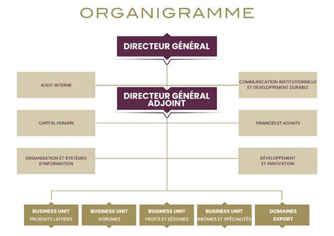 ORGANISATION  LES DOMAINES AGRICOLES