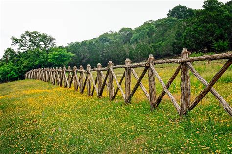 Hd Wallpaper Hill Country Texas Fence Row Texas Wildflowers West