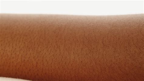 Black Skin Texture Close Up Native African American Woman Hand