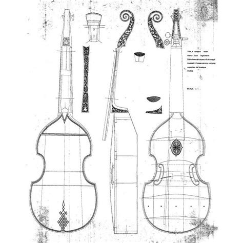 Drawing No 23 Viola Basso 1624 Henry Jaye England Technical Books