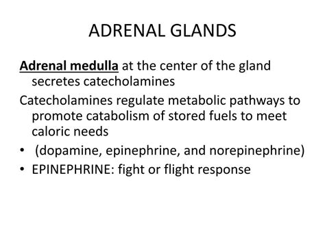 Overactive Adrenal Glands Causes Daxarmy