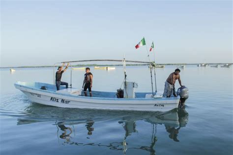 Nuevo Subdelegado De Pesca En Yucatán Yucatán Ahora