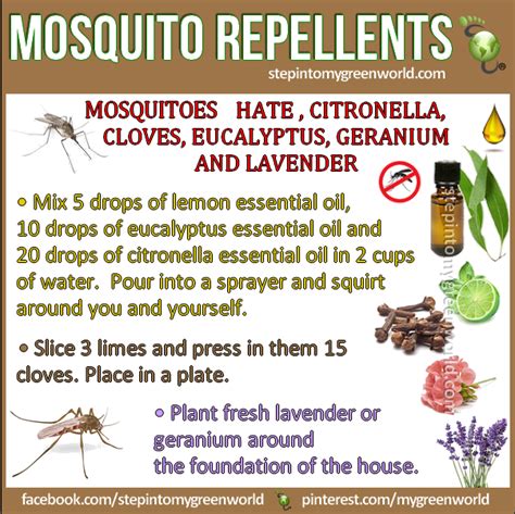 Maybe you would like to learn more about one of these? Best all natural mosquito spray repellent - Step Into My Green World | STEPin2
