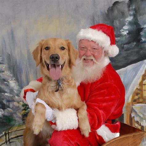 Search and see photos of adoptable pets in the santa clarita, ca area. Dogs & Santa Photos: 12 Fun Pics to Up Your Holiday Spirit