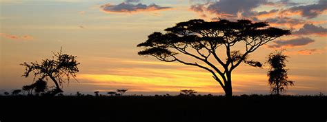 Why East Africa Is The Ultimate Safari Destination