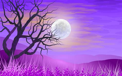 Tree Silhouette Under Full Moon Fondo De Pantalla Hd Fondo De