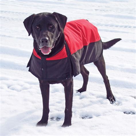 Dura Tech Insulated Waterproof Dog Coat In Dog Coats And Jackets At