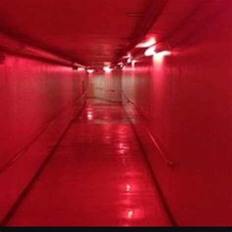 If you seek eudaemonia you will find a kindred universe here—you will find an abundance of confirmation for your sensitivity, intelligence, and passion. @haylee.leftonred on Instagram | Red aesthetic, Pastel red ...