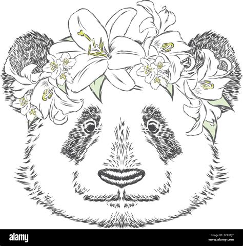 Panda In A Flower Wreath Vector Illustration Stock Vector Image And Art