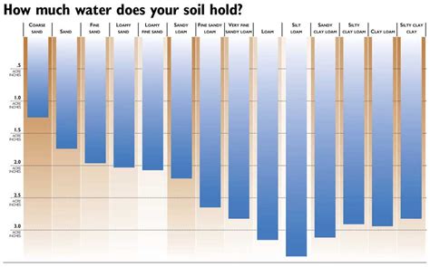 How much food can your stomach hold? Watering by the numbers | Good Fruit Grower