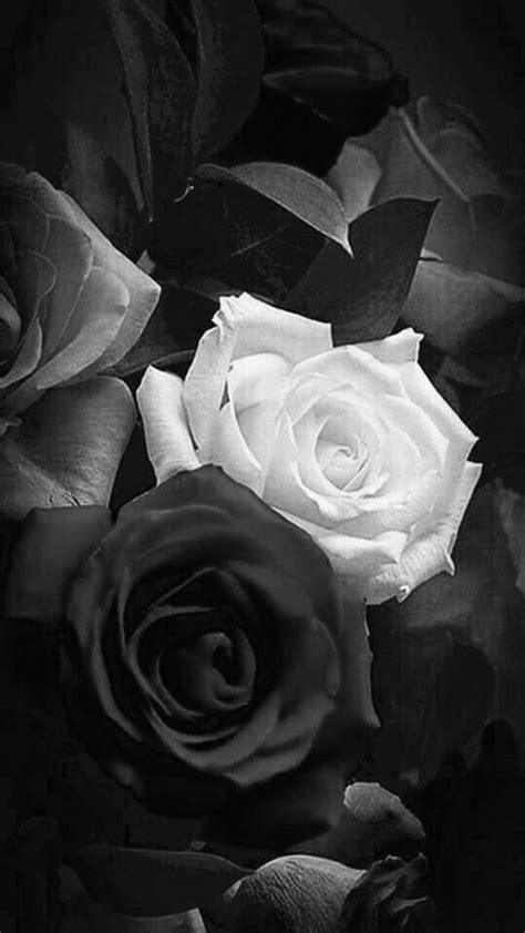 Aesthetic Flowers Black And White Flowernida
