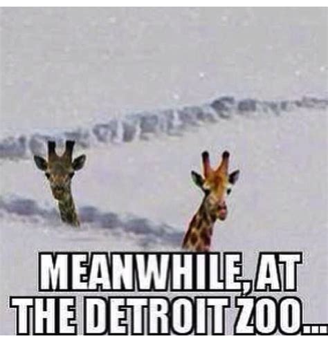 The Best Memes About Winter In Michigan