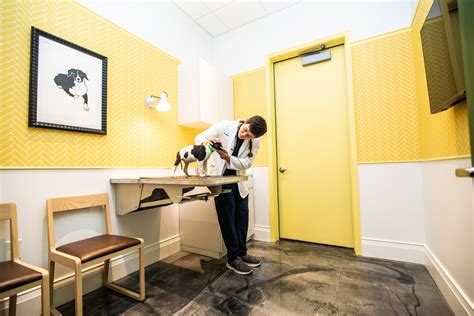 A Millennial and Pet-Friendly Concierge Vet Clinic Opens on H Street