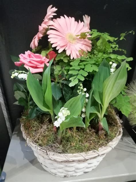 Harry styles。one direction yoshiki san and toshl san of x japan. Panier osier et son muguet avec racines - atelier d'ISA