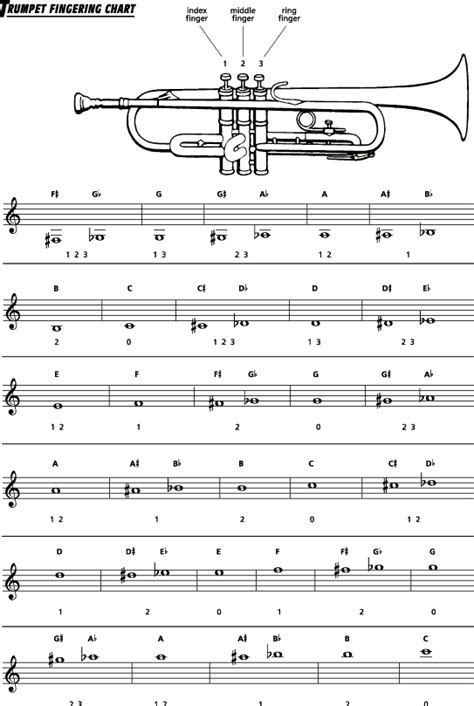 Qmg Trumpet Fingering Chart With Color Coded Notes Learn Trumpet