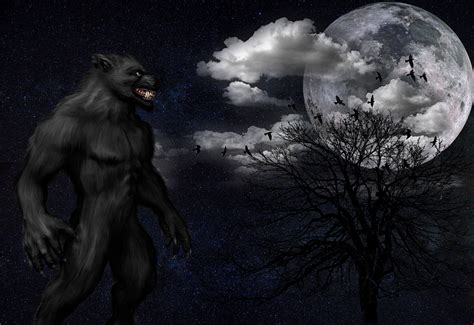 Download Mobile Wallpaper Monster Full Moon Werewolf Night Starry Sky Grin Art Free 138942