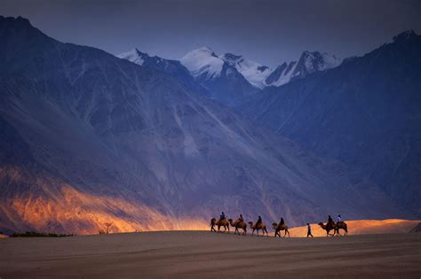 Nubra Valley The Gardens Of Ladakh Indus Dispatch