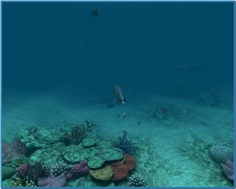 Free Download Screensaver Vollversion Coral Reef Aquarium 3d