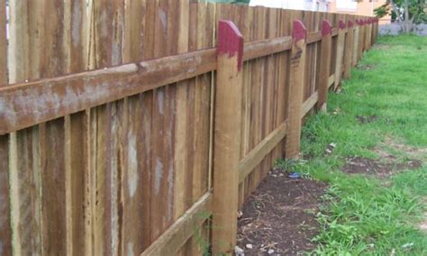 Wood privacy fences are expensive; A do it yourself privacy fence may be necessary to shield and protect you from those who live ...