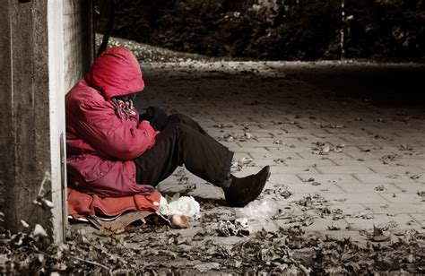 Helping the homeless and their pets. Will the Homeless Reduction Bill reduce homelessness for ...