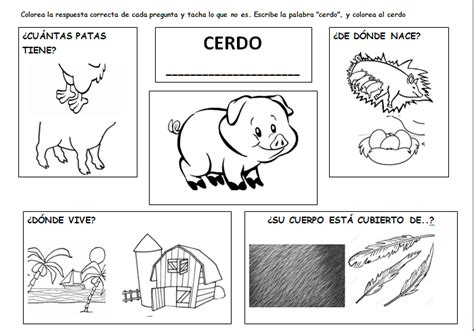 Blog 1º De Infantil 2019 2020 El Cerdo 1