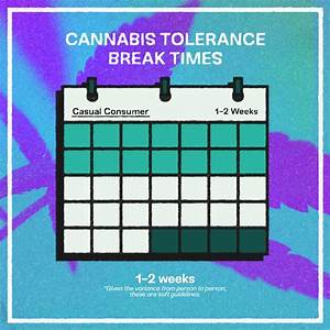 How Long Should A Weed Tolerance Break Be Emjay Blog