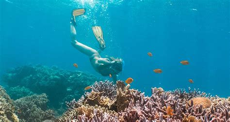 20 Best Snorkeling Spots In The Philippines