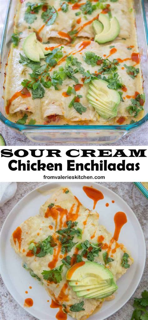 Celebrate cinco de mayo at home with this deliciously decadent and cheesy sour cream chicken enchilada recipe. Pancho S Sour Cream Enchiladas Recipe - Image Of Food Recipe