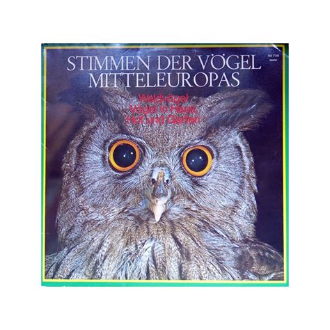 Er hat einen riesigen rachen, winzige füßchen, lange schwingen und einen großen geraden schwanz. Stimmen Der Vögel Mitteleuropas -Dr. Michael Schubert ...
