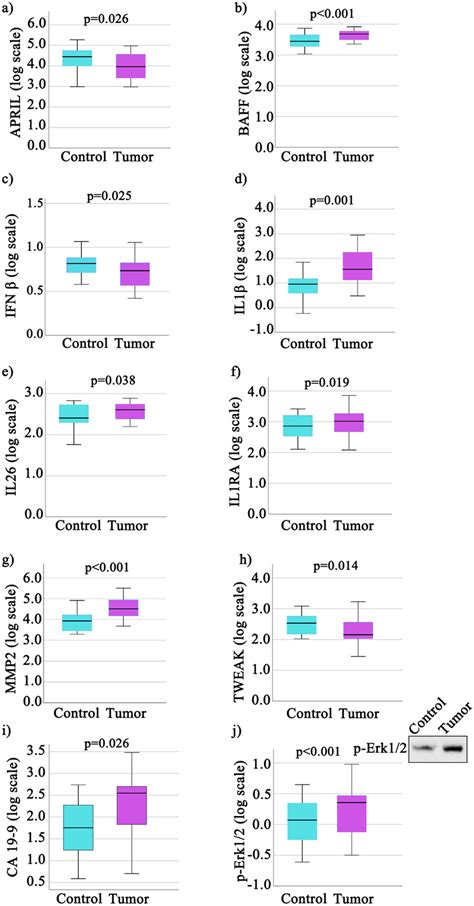 Box Plots Of Log Transformed Biomarker Values In Tumor And Paired