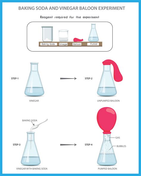 Baking Soda and Vinegar Balloon Science experiment, Chemistry