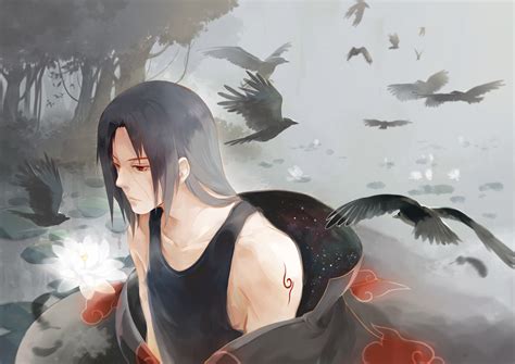 Itachi Crows Wallpapers Wallpaper Cave