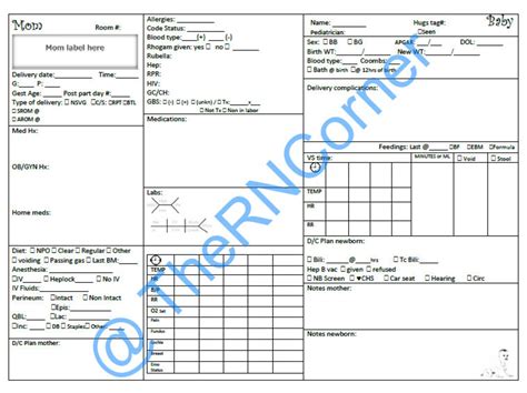 Mother And Baby Couplet Nursing Report Sheet Instant Download Etsy