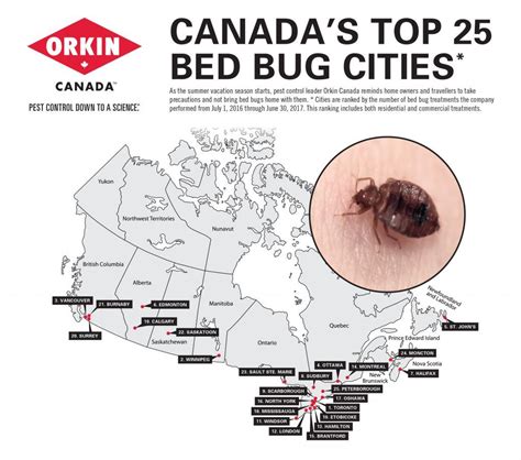 These Are The 25 Worst Cities In Canada For Bed Bugs News