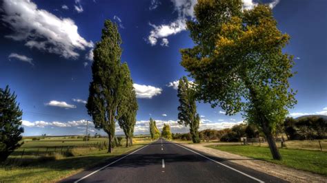 Trees Along With Empty Road Hd Wallpaper Nature And Landscape