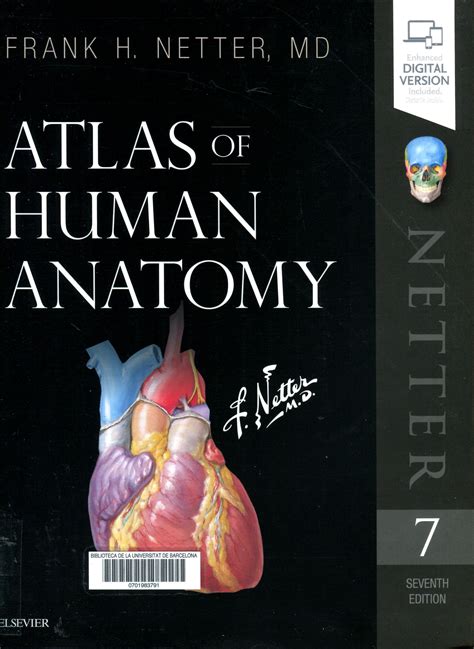 Atlas Of Human Anatomy Pdf Elsevier Jumbovast