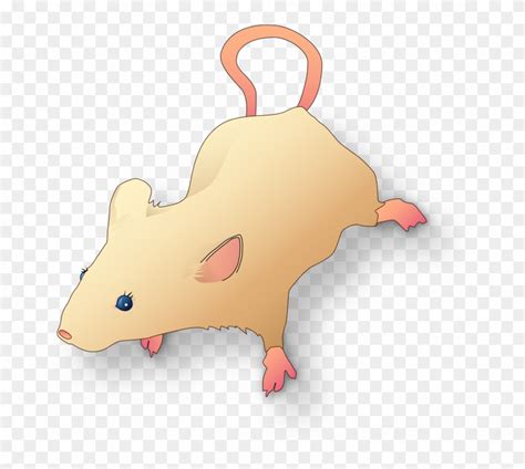 Download File Vectorized Lab Mouse Mg 3263 For Scientific Figures