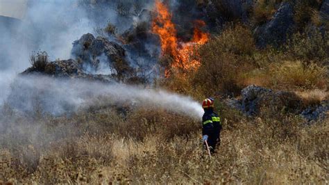 Jul 24, 2021 · ροδοσ: Φωτιά στη Χασιά του δήμου Φυλής Αττικής • Tvkosmos ...