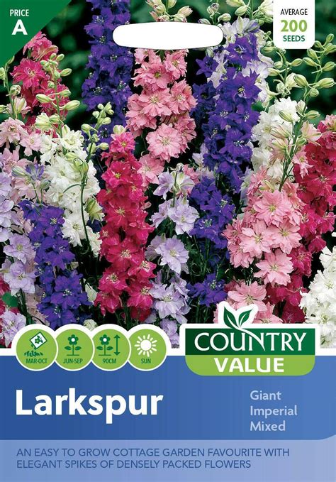 Flower 200 Seeds Larkspur Giant Imperial Mixed Grow Your Own Garden
