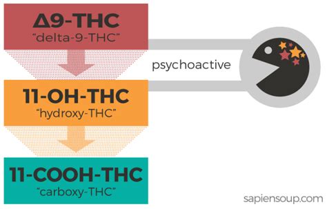 This calculator will help you estimate how long it will take to clear thc in the absence of using any detox methods. How Long Does Weed Stay In Your System: Urine, Saliva ...