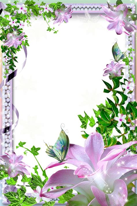 Flower Frame — Winter Lily — Картинки и Рисунки