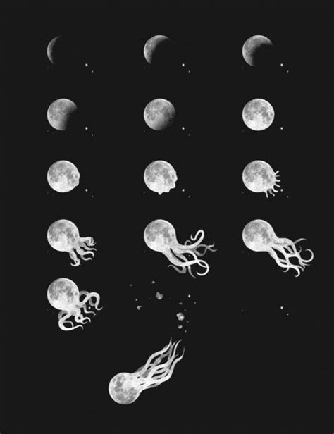 Moon Jellyfish Octopus Squid Awesome Daze