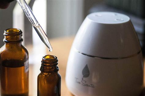 Are essential oil diffusers safe to use? 5 Reasons Why Every Home Should Have an Essential Oil ...