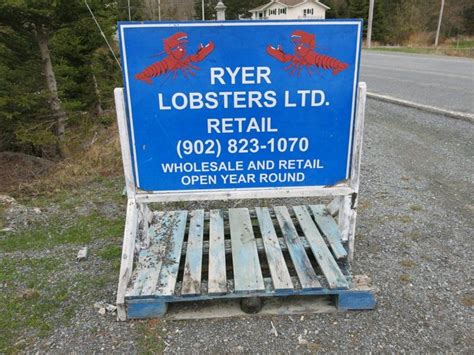 Ryer Lobsters Enroute To Peggys Cove Cove Lobster Us
