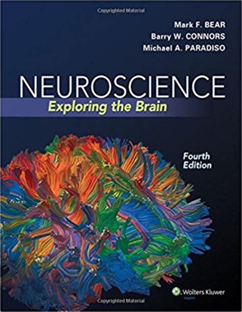 Neuroscience Exploring The Brain