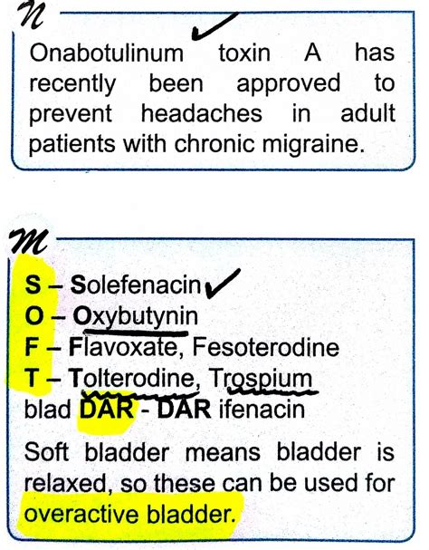 12 Overactive Bladder Medication List Pictures