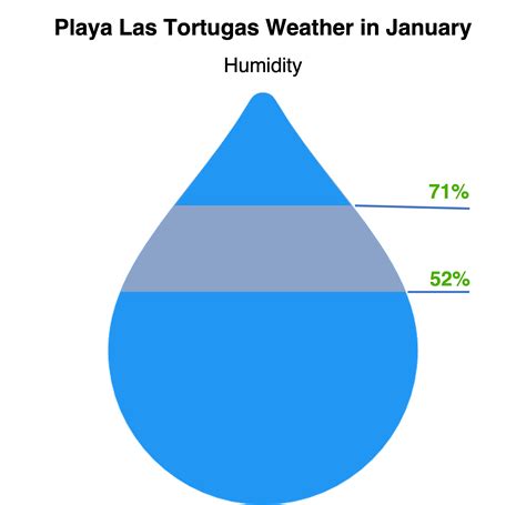 January Weather — La Villa Reyes | Playa Las Tortugas | Mexico