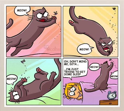 cat comic dump album on imgur