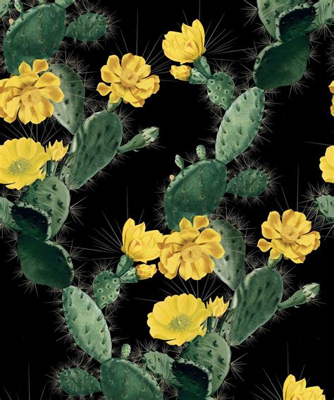 Cactus Wallpaper • Bold Alluring Cacti Design • Milton And King